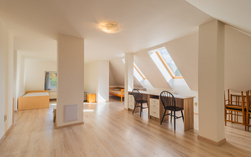 NA PREDAJ | Rodinný dom s kamennou stodolou a pozemkom 3 387 m² – Horná Súča