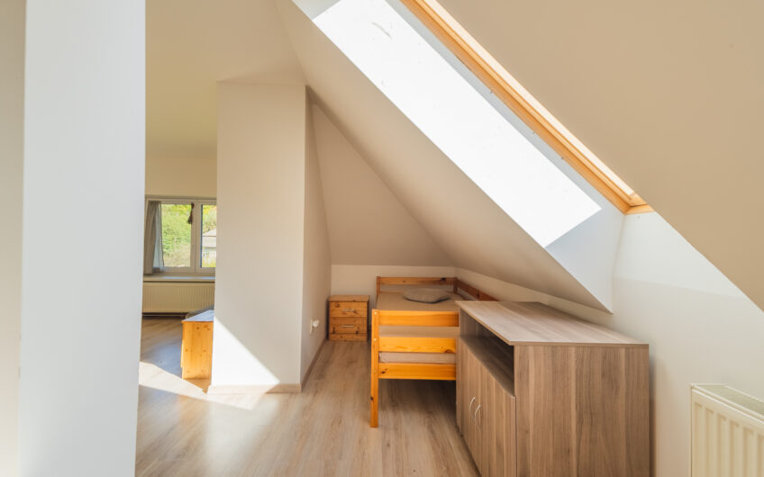 NA PREDAJ | Rodinný dom s kamennou stodolou a pozemkom 3 387 m² – Horná Súča